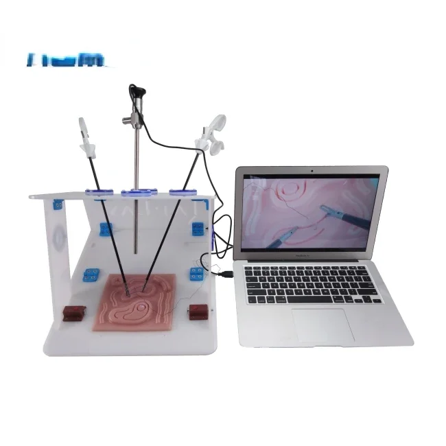 Laparoscopic Endo Trainer with - огляд і ціна Woodworking Simulator